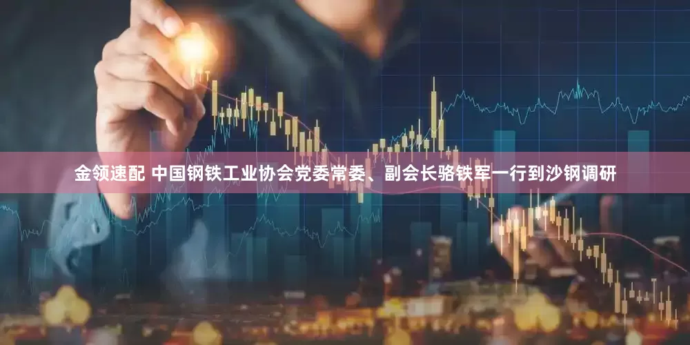 金领速配 中国钢铁工业协会党委常委、副会长骆铁军一行到沙钢调研