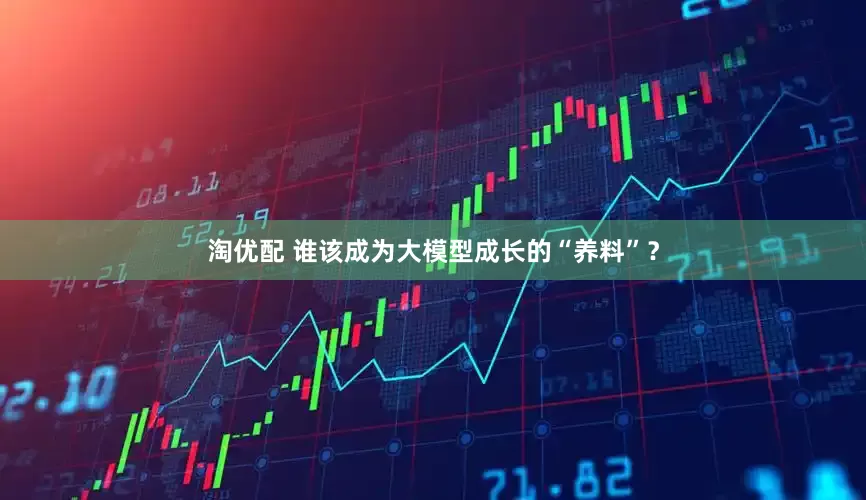 淘优配 谁该成为大模型成长的“养料”？